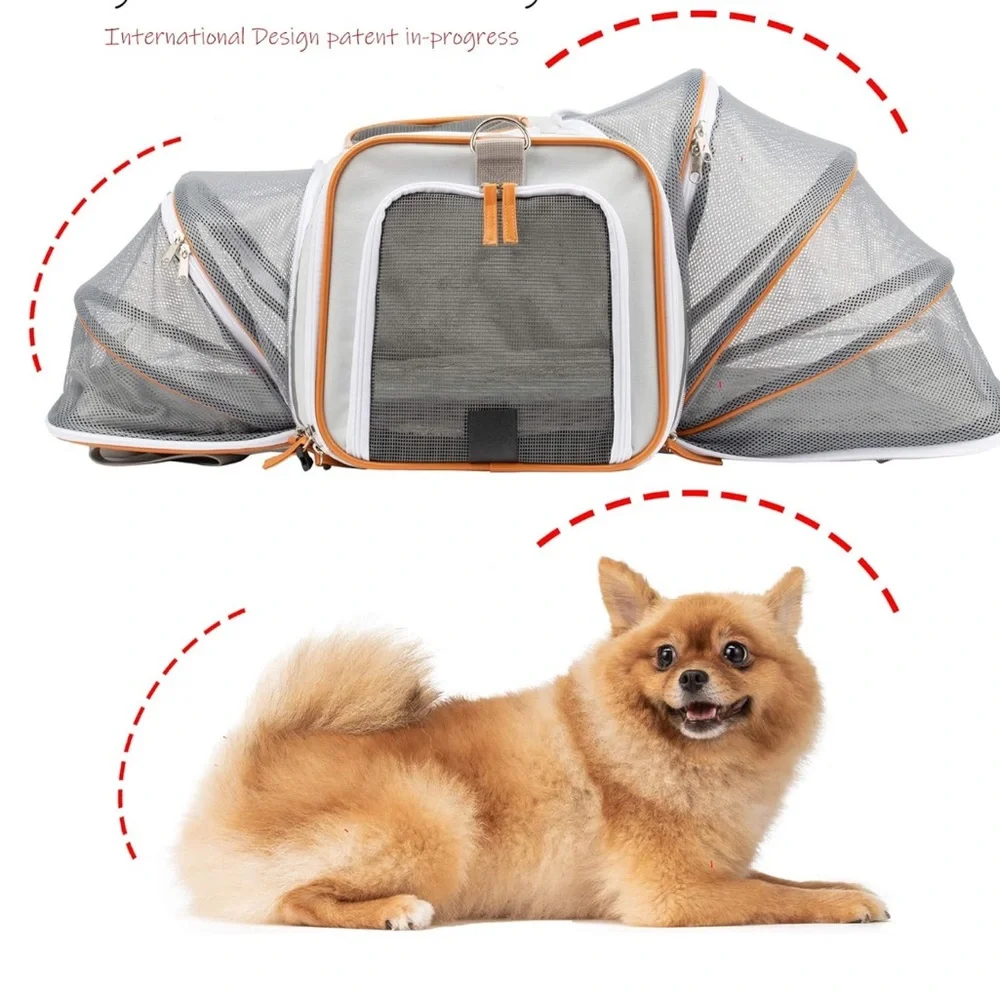 Gray and Orange Dog Carrier